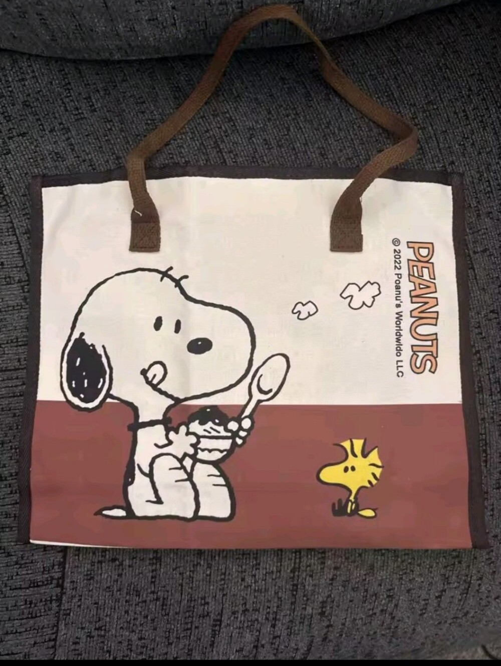 Canvas Tote Bag with Graphic Print - Cream & Brown Trim
